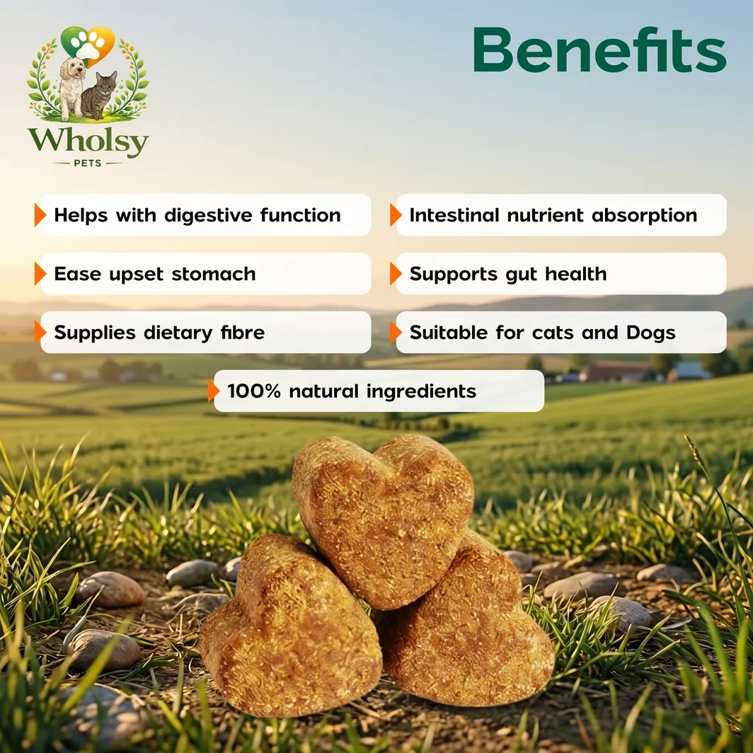 Probiotic Chews for Dogs - Image 2