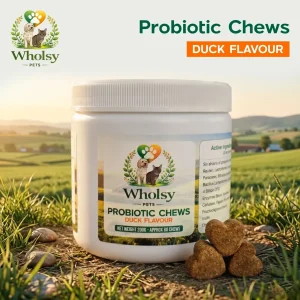 Probiotic Chews for Dogs